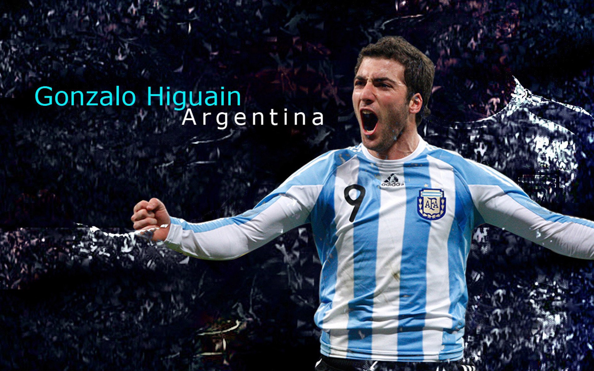 世界杯史诗：足球梦想的最终展现，世界杯的足球是什么样的